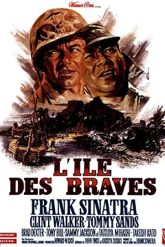 Affiche du film L'ile des braves