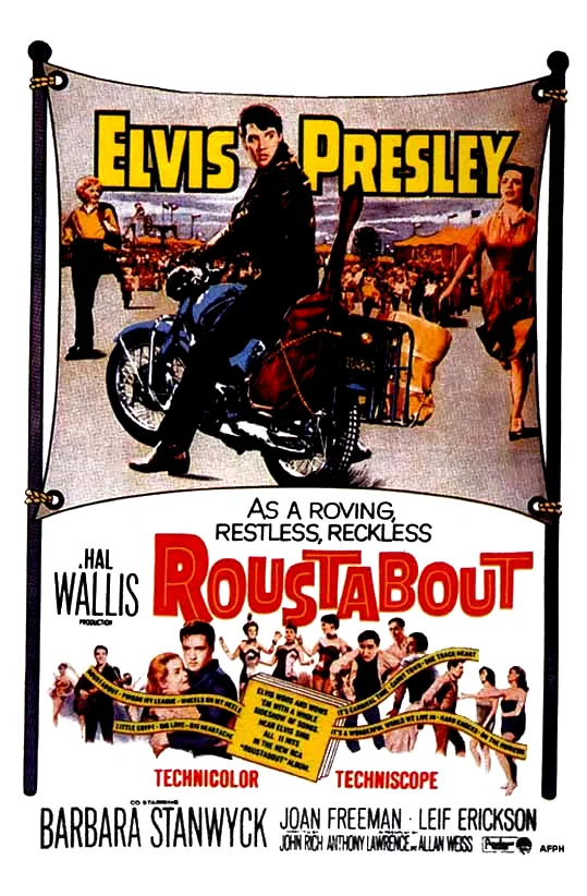 Affiche du film : L'homme a tout faire
