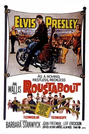 Affiche du film : L'homme a tout faire