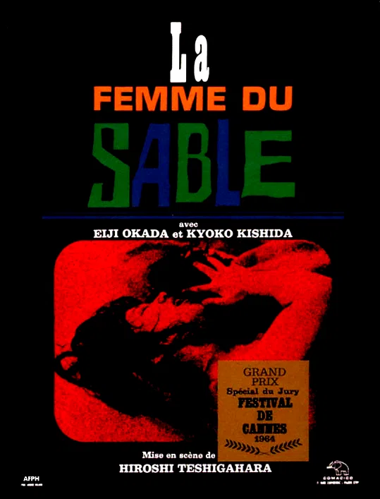 Affiche du film : La femme du sable