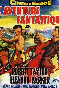 Affiche du film L'aventure fantastique