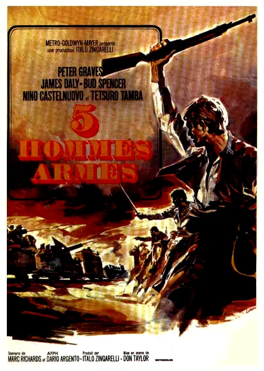 Affiche du film : 5 hommes armes