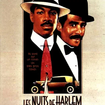 Miniature photo du film : Les nuits de harlem