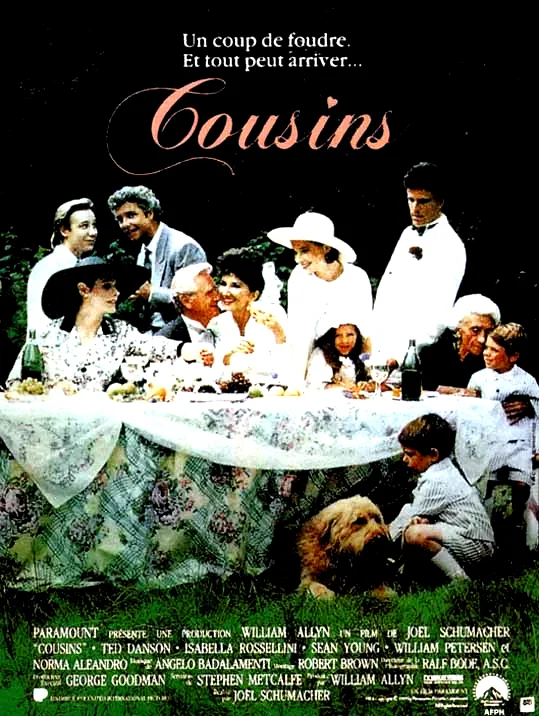 Affiche du film : Cousins