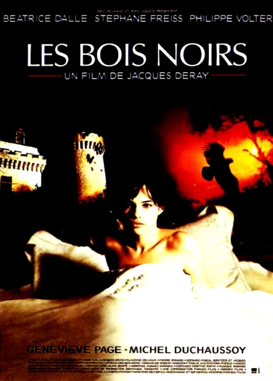 Affiche du film : Les Bois noirs