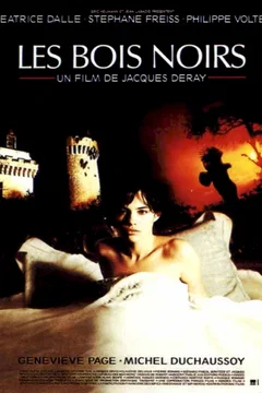Affiche du film Les Bois noirs