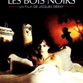Photo du film : Les Bois noirs