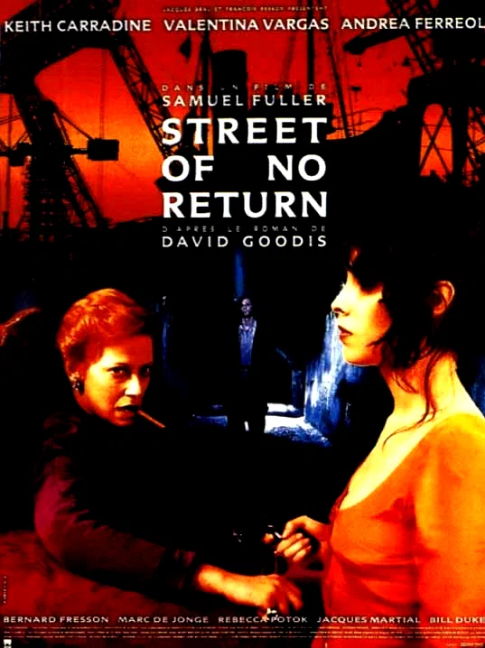 Affiche du film : Sans espoir de retour