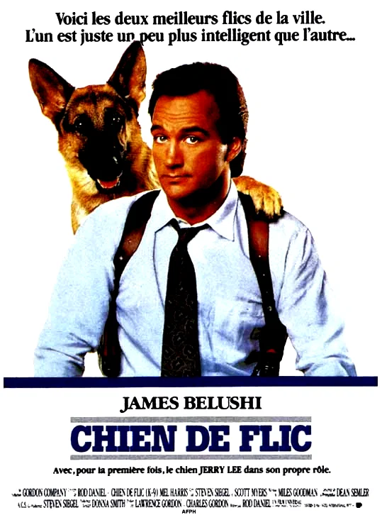 Affiche du film : Chien de flic