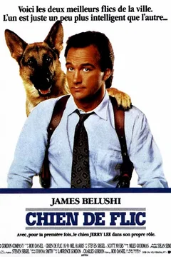 Affiche du film Chien de flic