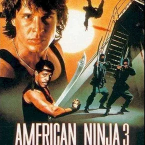 Photo du film : American ninja 3