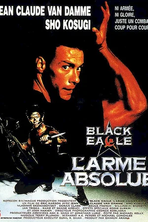 Affiche du film : L'arme absolue