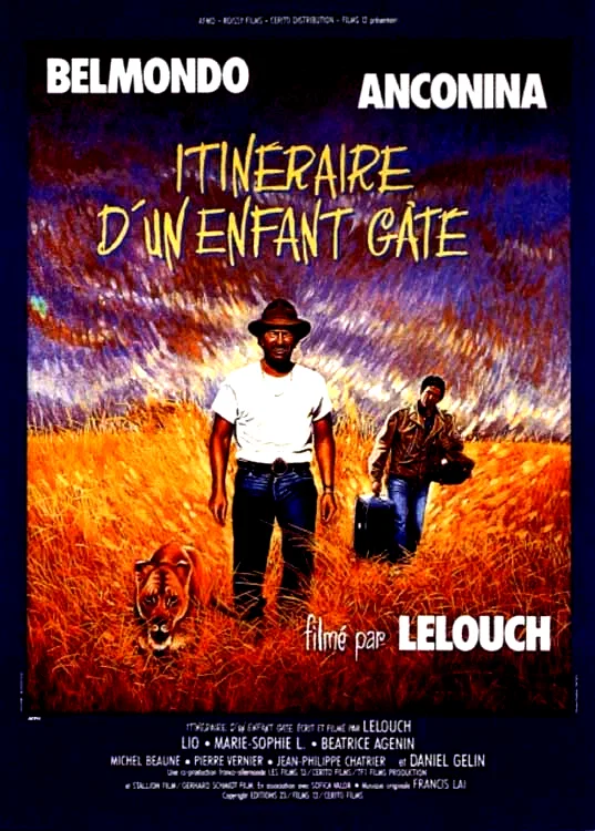 Affiche du film : Itinéraire d'un enfant gâté