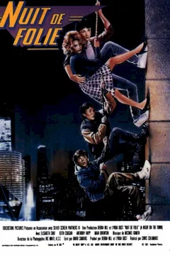 Affiche du film Nuit de folie