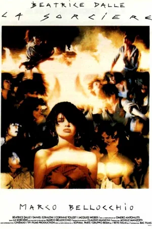 Affiche du film : La sorciere