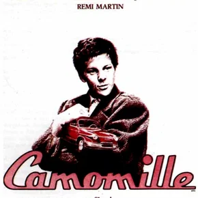 Photo du film : Camomille