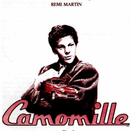 Miniature photo du film : Camomille
