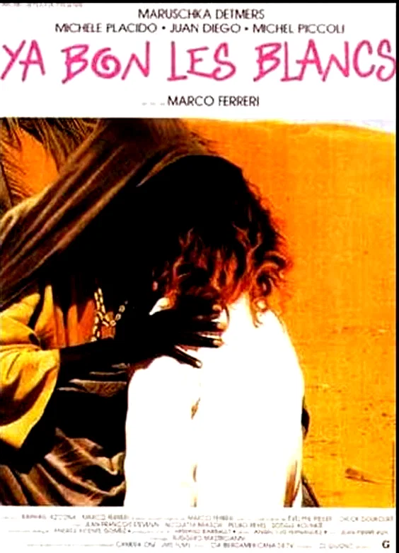 Affiche du film : Y'a bon les blancs