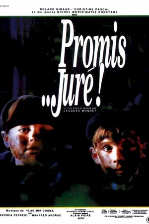 Photo 1 du film : Promis... juré !