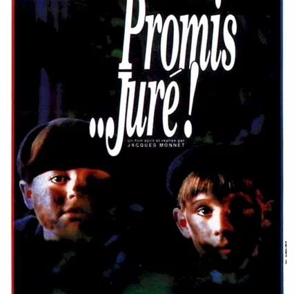 Miniature photo du film : Promis... juré !