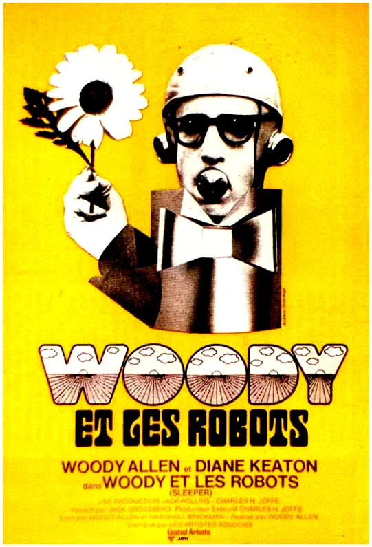 Affiche du film : Woody et les robots