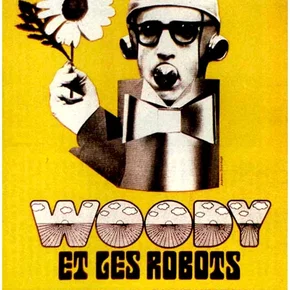 Photo du film : Woody et les robots