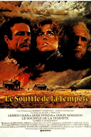 Affiche du film : Le souffle de la tempete