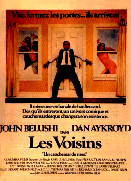 Affiche du film : Les voisins
