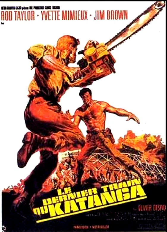Affiche du film : Le dernier train du katanga