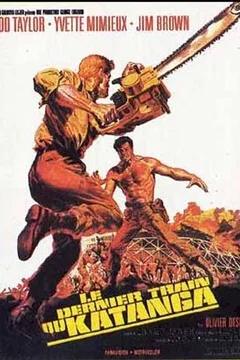 Affiche du film Le dernier train du katanga
