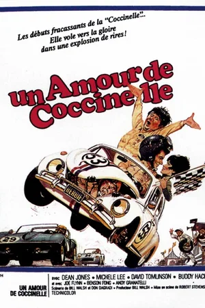 Affiche du film : Un amour de coccinelle