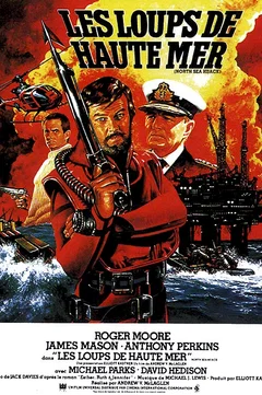 Affiche du film Les loups de haute mer