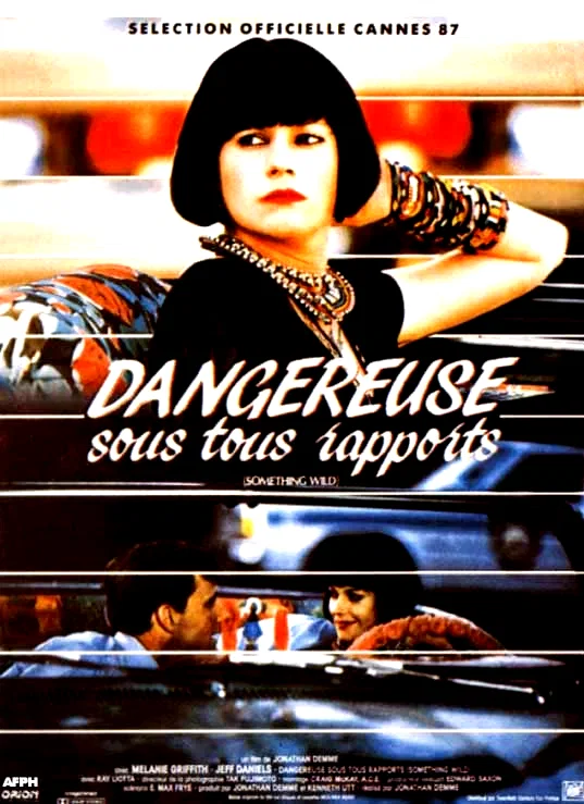 Affiche du film : Dangereuse sous tous rapports