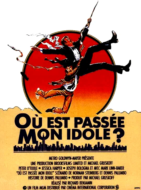 Affiche du film : Ou est passee mon idole