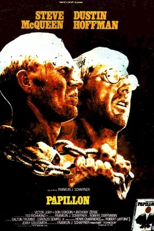 Affiche du film : Papillon