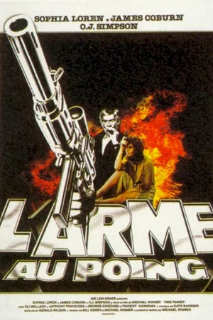Affiche du film : L'arme au poing