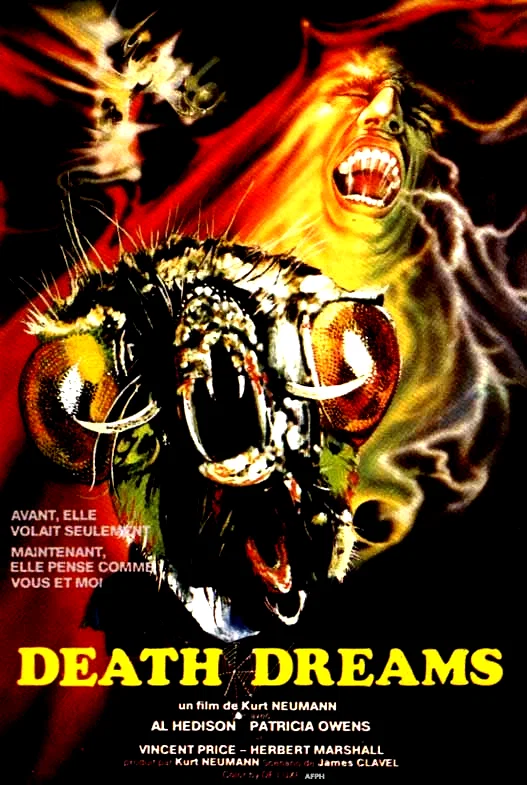 Affiche du film : La mouche noire