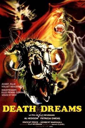 Affiche du film : La mouche noire