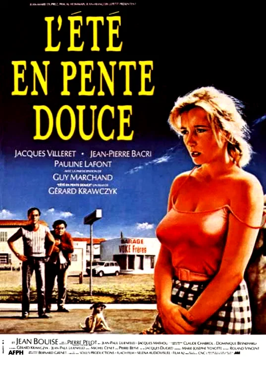 Affiche du film : L'été en pente douce