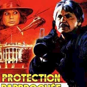 Photo du film : Protection rapprochee
