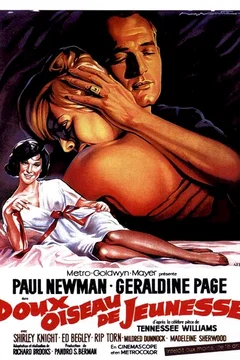 Affiche du film Doux oiseau de jeunesse