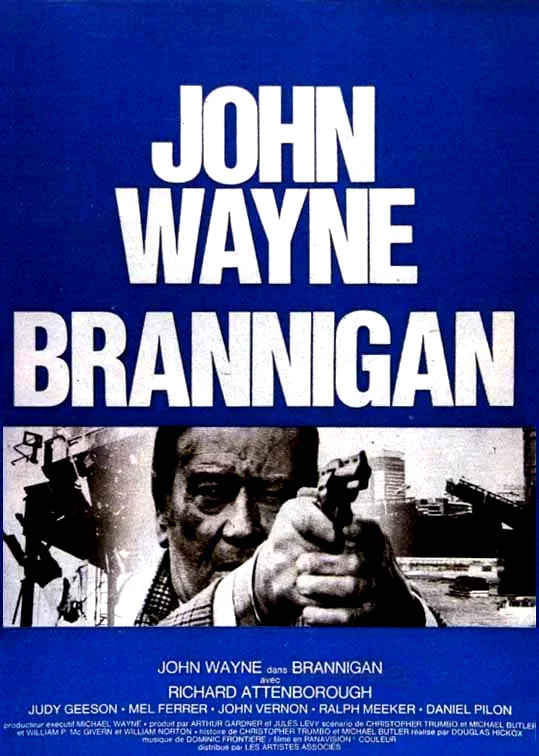 Affiche du film : Brannigan