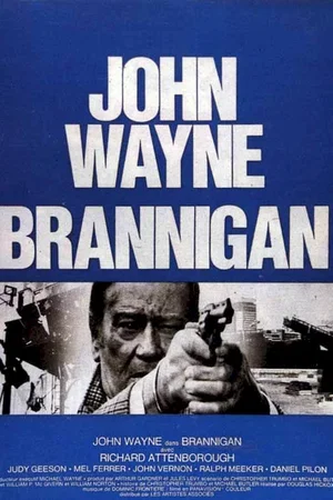 Affiche du film : Brannigan