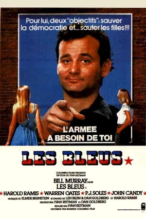 Affiche du film : Les bleus