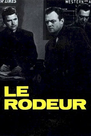 Affiche du film : Le rodeur