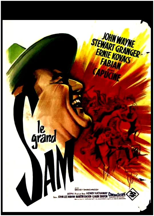 Affiche du film : Le grand sam
