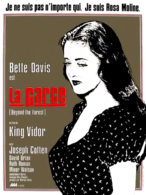 Affiche du film : La garce