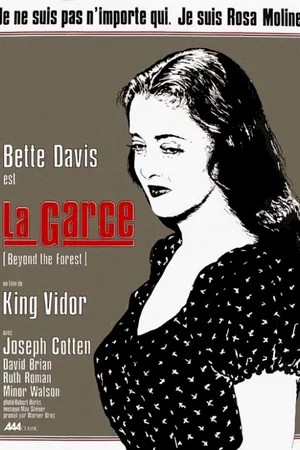 Affiche du film : La garce