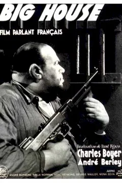 Affiche du film Big house