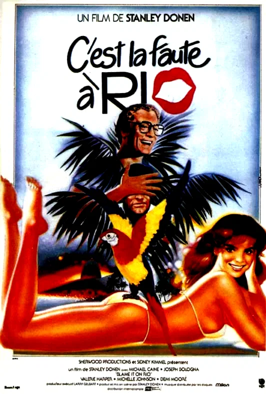 Affiche du film : C'est la faute à Rio